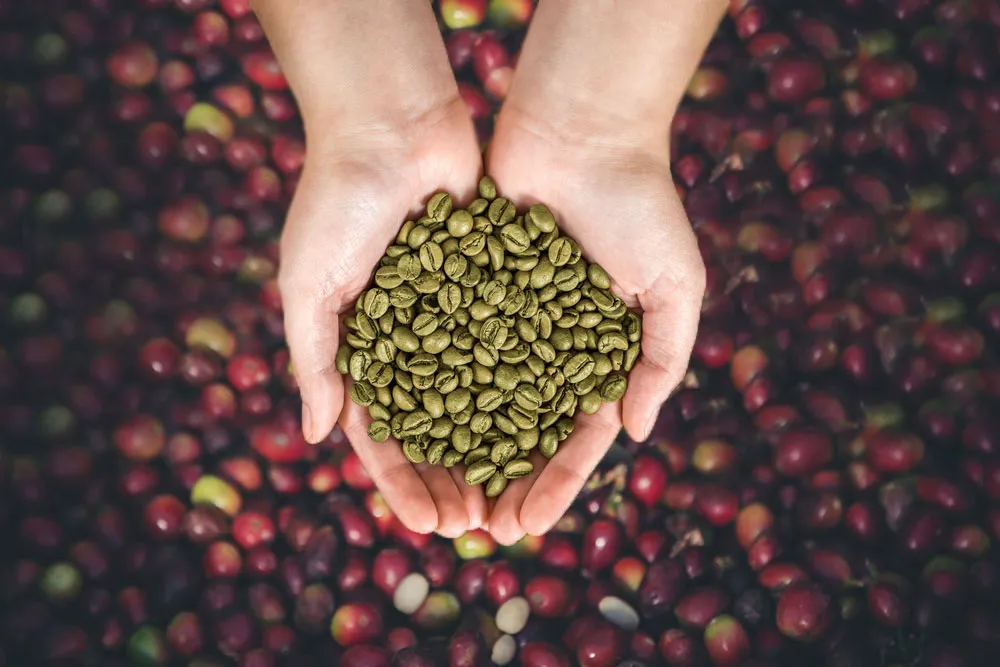 Indonesian coffee beans